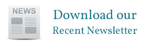 newsletter button